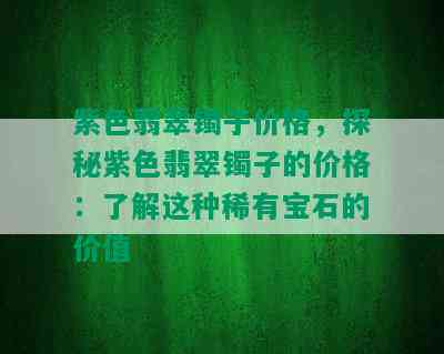 紫色翡翠镯子价格，探秘紫色翡翠镯子的价格：了解这种稀有宝石的价值