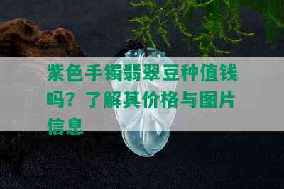 紫色手镯翡翠豆种值钱吗？了解其价格与图片信息