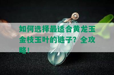 如何选择最适合黄龙玉金枝玉叶的链子？全攻略！