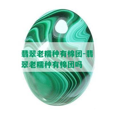 翡翠老糯种有棉团-翡翠老糯种有棉团吗