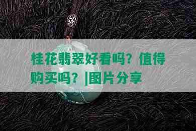 桂花翡翠好看吗？值得购买吗？|图片分享