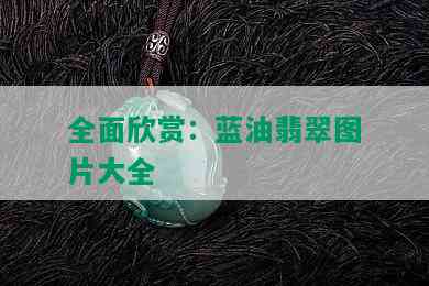 全面欣赏：蓝油翡翠图片大全