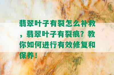 翡翠叶子有裂怎么补救，翡翠叶子有裂痕？教你如何进行有效修复和保养！