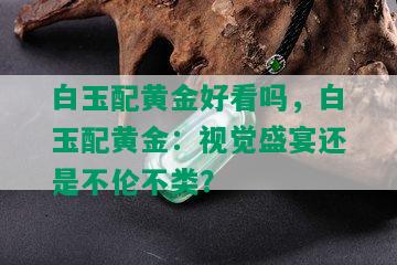 白玉配黄金好看吗，白玉配黄金：视觉盛宴还是不伦不类？