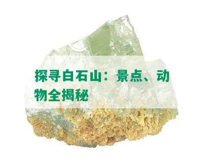 探寻白石山：景点、动物全揭秘