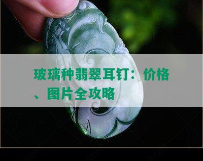 玻璃种翡翠耳钉：价格、图片全攻略