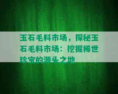 玉石毛料市场，探秘玉石毛料市场：挖掘稀世珍宝的源头之地