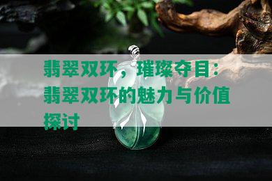 翡翠双环，璀璨夺目：翡翠双环的魅力与价值探讨