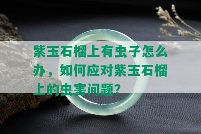 紫玉石榴上有虫子怎么办，如何应对紫玉石榴上的虫害问题？