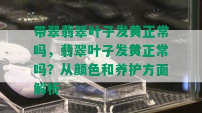 带翠翡翠叶子发黄正常吗，翡翠叶子发黄正常吗？从颜色和养护方面解析