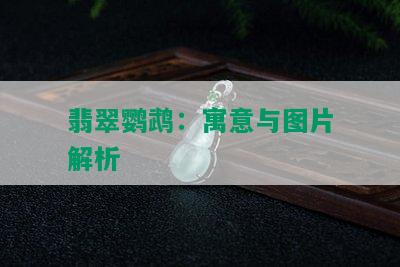 翡翠鹦鹉：寓意与图片解析