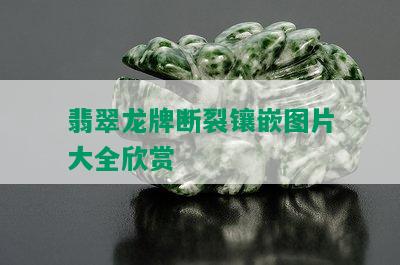 翡翠龙牌断裂镶嵌图片大全欣赏