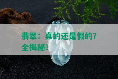 翡翠：真的还是假的？全揭秘！