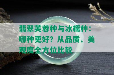 翡翠芙蓉种与冰糯种：哪种更好？从品质、美观度全方位比较