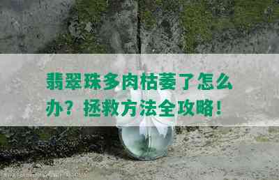 翡翠珠多肉枯萎了怎么办？拯救方法全攻略！