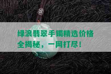 绿浪翡翠手镯精选价格全揭秘，一网打尽！