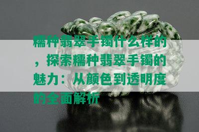 糯种翡翠手镯什么样的，探索糯种翡翠手镯的魅力：从颜色到透明度的全面解析