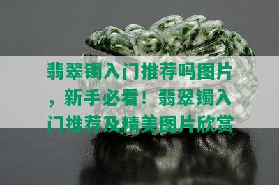 翡翠镯入门推荐吗图片，新手必看！翡翠镯入门推荐及精美图片欣赏