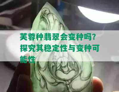 芙蓉种翡翠会变种吗？探究其稳定性与变种可能性