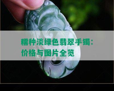 糯种淡绿色翡翠手镯：价格与图片全览