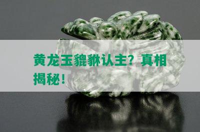 黄龙玉貔貅认主？真相揭秘！