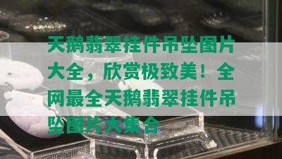 天鹅翡翠挂件吊坠图片大全，欣赏极致美！全网最全天鹅翡翠挂件吊坠图片大集合