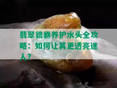 翡翠貔貅养护水头全攻略：如何让其更透亮迷人?