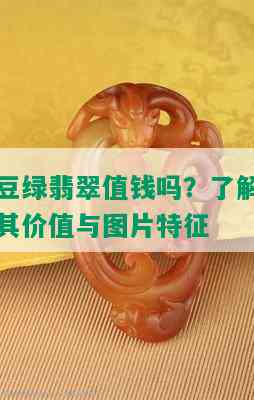 豆绿翡翠值钱吗？了解其价值与图片特征