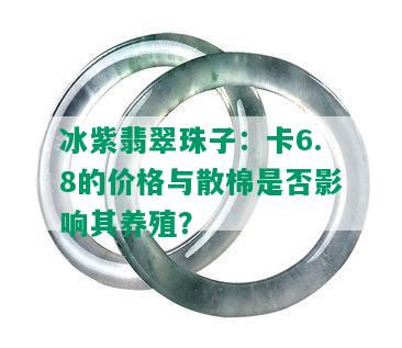 冰紫翡翠珠子：卡6.8的价格与散棉是否影响其养殖？