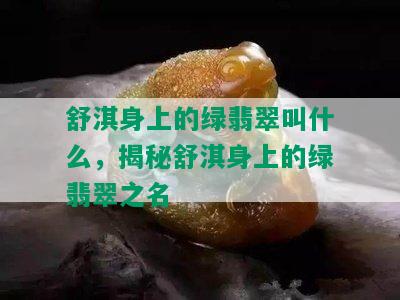 舒淇身上的绿翡翠叫什么，揭秘舒淇身上的绿翡翠之名