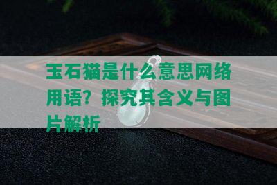 玉石猫是什么意思网络用语？探究其含义与图片解析