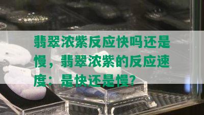 翡翠浓紫反应快吗还是慢，翡翠浓紫的反应速度：是快还是慢？