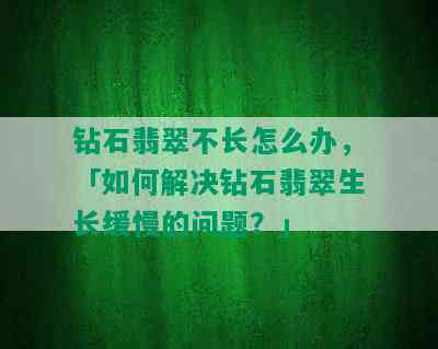 钻石翡翠不长怎么办，「如何解决钻石翡翠生长缓慢的问题？」