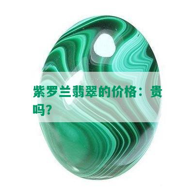 紫罗兰翡翠的价格：贵吗？