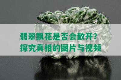 翡翠飘花是否会散开？探究真相的图片与视频