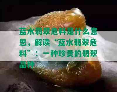 蓝水翡翠危料是什么意思，解读“蓝水翡翠危料”：一种珍贵的翡翠品种