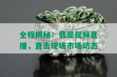 全程揭秘：翡翠视频直播，直击现场市场动态