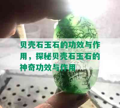 贝壳石玉石的功效与作用，探秘贝壳石玉石的神奇功效与作用