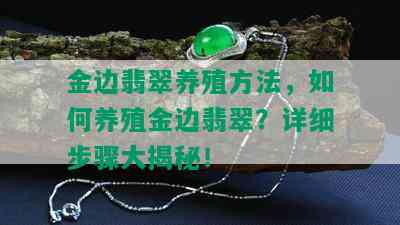 金边翡翠养殖方法，如何养殖金边翡翠？详细步骤大揭秘！