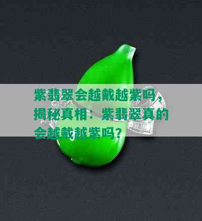 紫翡翠会越戴越紫吗，揭秘真相：紫翡翠真的会越戴越紫吗？