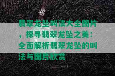 翡翠龙坠叫法大全图片，探寻翡翠龙坠之美：全面解析翡翠龙坠的叫法与图片欣赏