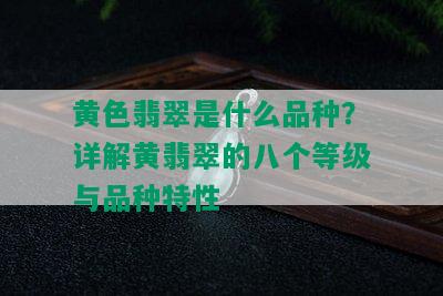 黄色翡翠是什么品种？详解黄翡翠的八个等级与品种特性