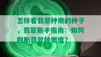 怎样看翡翠种嫩的种子，翡翠新手指南：如何判断翡翠种嫩度？