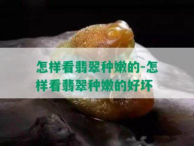 怎样看翡翠种嫩的-怎样看翡翠种嫩的好坏