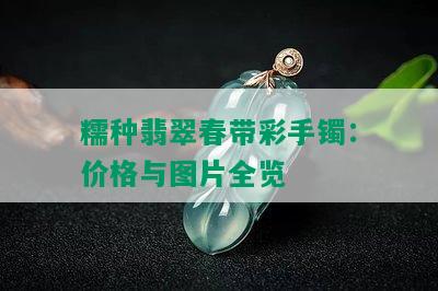 糯种翡翠春带彩手镯：价格与图片全览