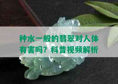 种水一般的翡翠对人体有害吗？科普视频解析