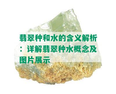 翡翠种和水的含义解析：详解翡翠种水概念及图片展示