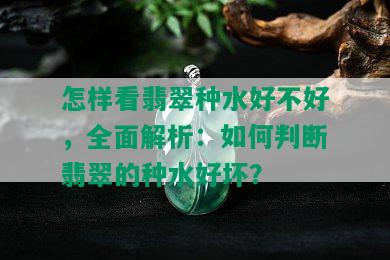 怎样看翡翠种水好不好，全面解析：如何判断翡翠的种水好坏？