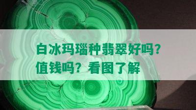 白冰玛瑙种翡翠好吗？值钱吗？看图了解