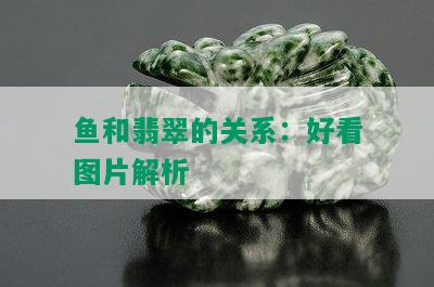 鱼和翡翠的关系：好看图片解析